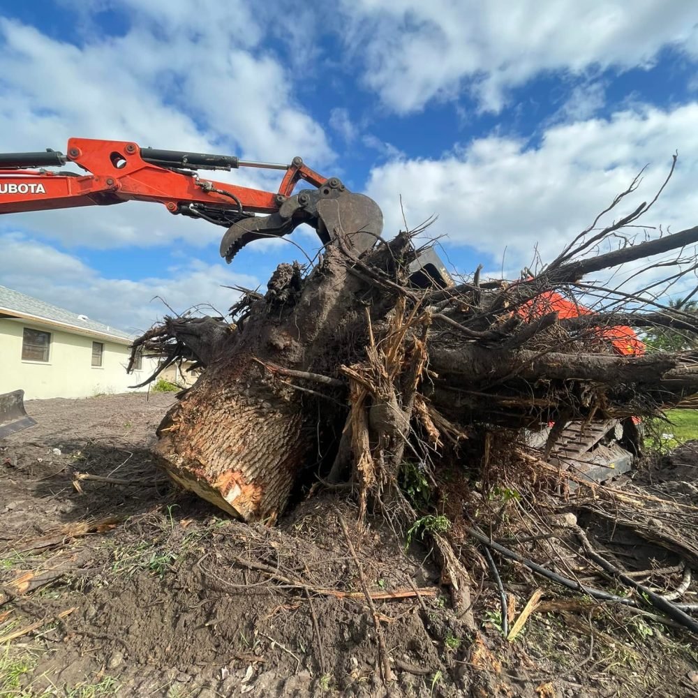 Stump Removal